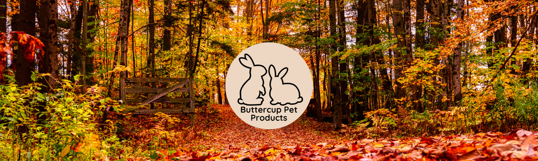 Keep Your Small Furry Friends Dry & Comfy This Autumn 🍂