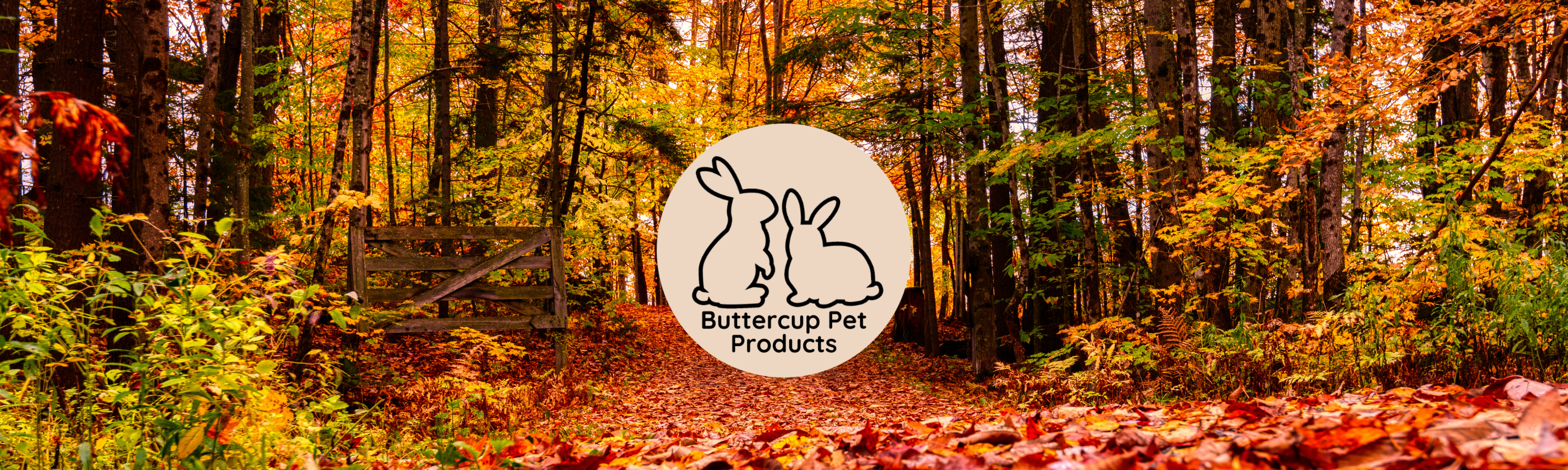 Keep Your Small Furry Friends Dry & Comfy This Autumn 🍂