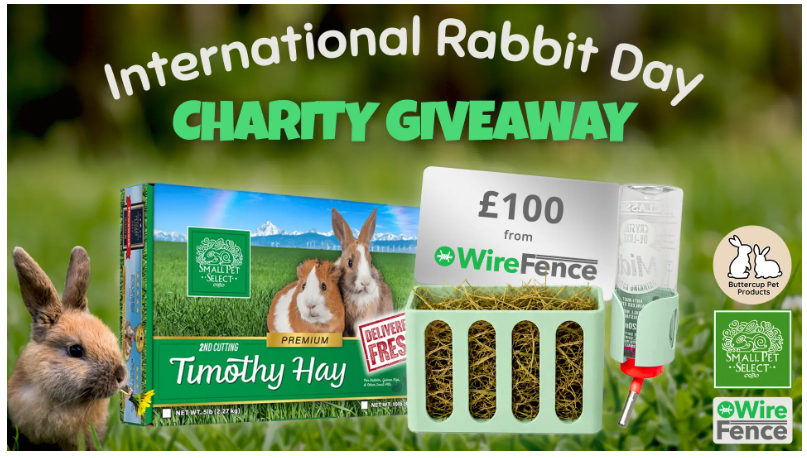 Buttercup Pet Products Joins the International Rabbit Day 2026 Giveaway