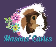 Masons Cavies Logo