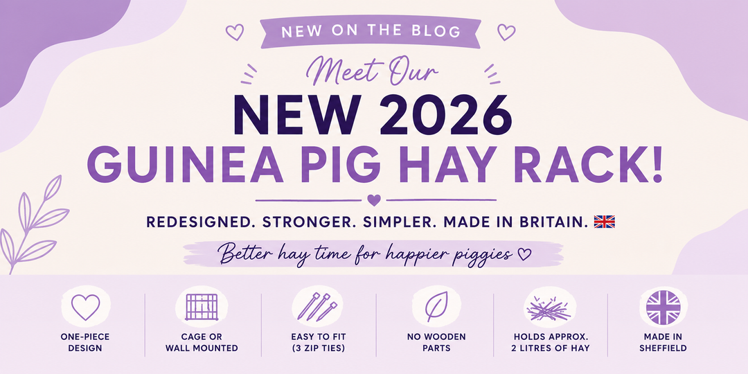 Meet Our NEW 2026 Guinea Pig Hay Rack – Redesigned From the Ground Up! 🌾🐹
