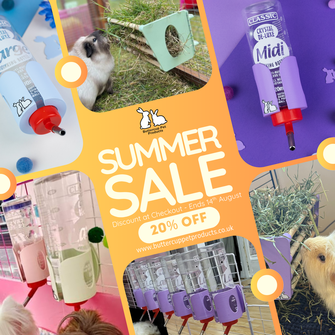 SUMMER SALE 2025