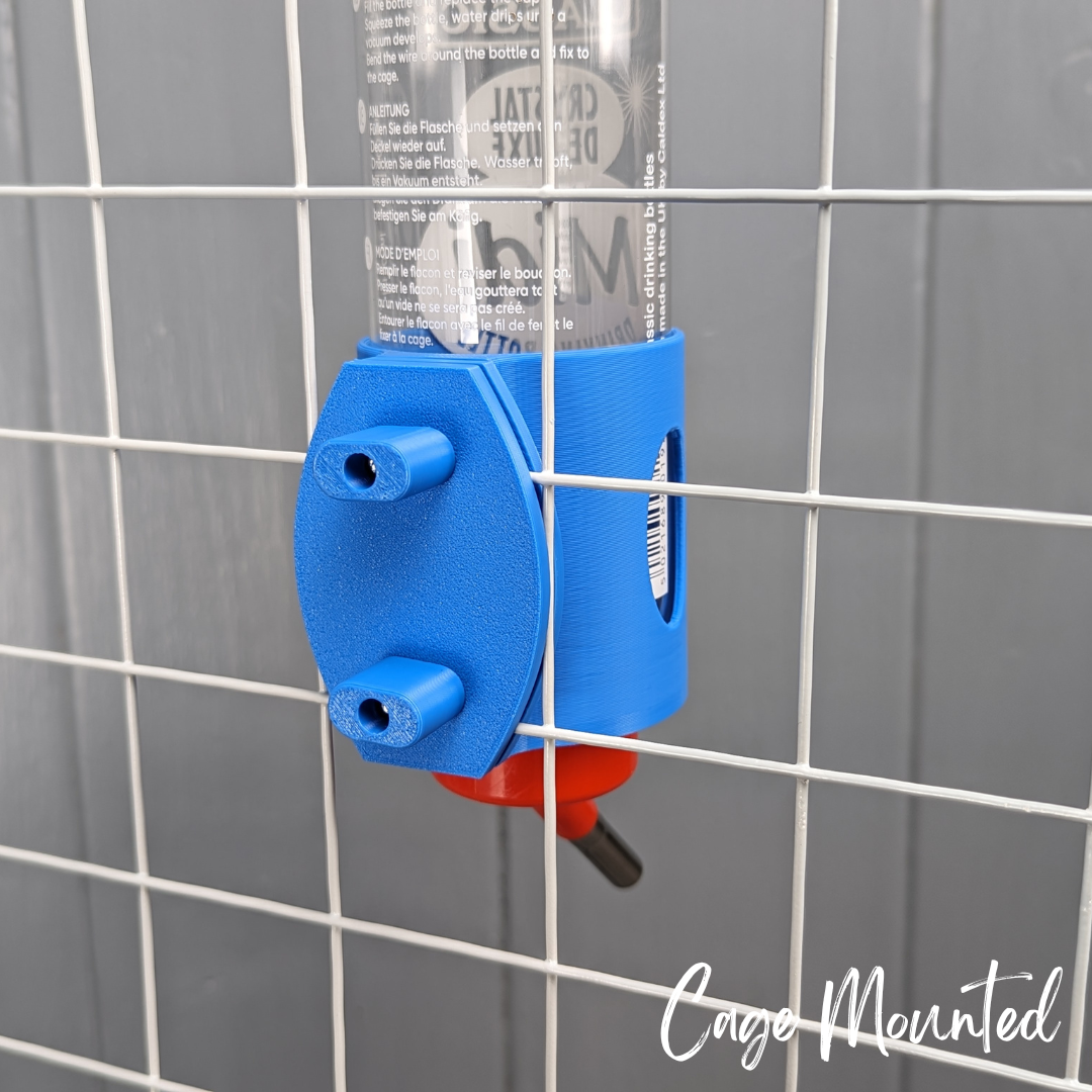 Guinea pig best sale water bottle