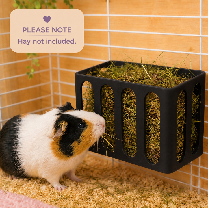 Jet Black guinea pig and rabbit hay rack, cage and wall mounted, 3D printed in Britain