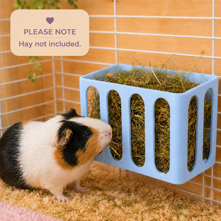 Pastel Blue guinea pig and rabbit hay rack, cage and wall mounted, 3D printed in Britain