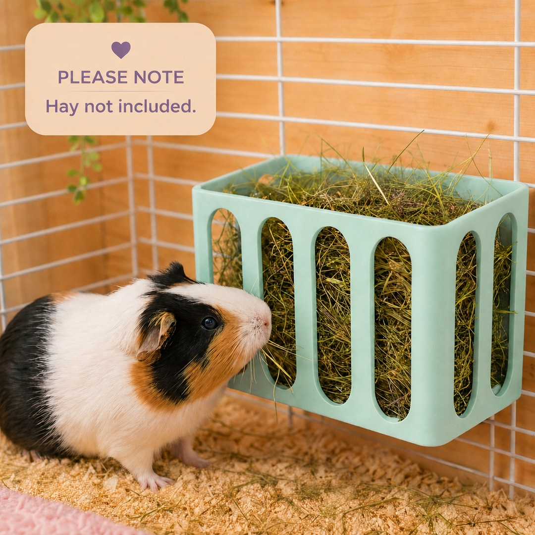 Pastel Green guinea pig and rabbit hay rack, cage and wall mounted, 3D printed in Britain