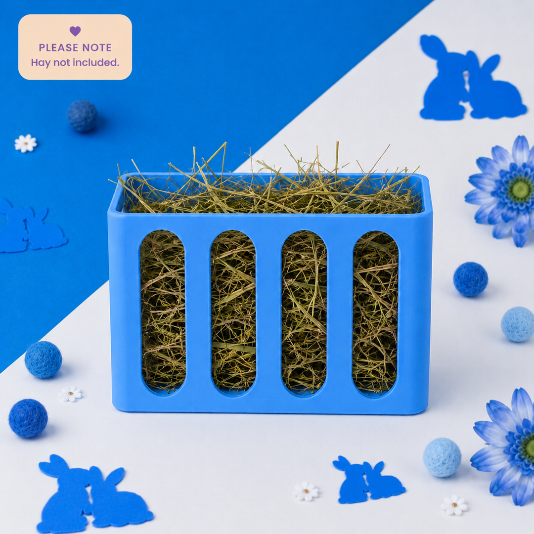 Sky Blue guinea pig and rabbit hay rack, cage and wall mounted, 3D printed in Britain