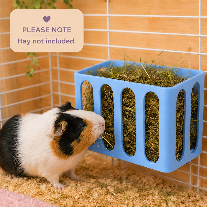 Sky Blue guinea pig and rabbit hay rack, cage and wall mounted, 3D printed in Britain