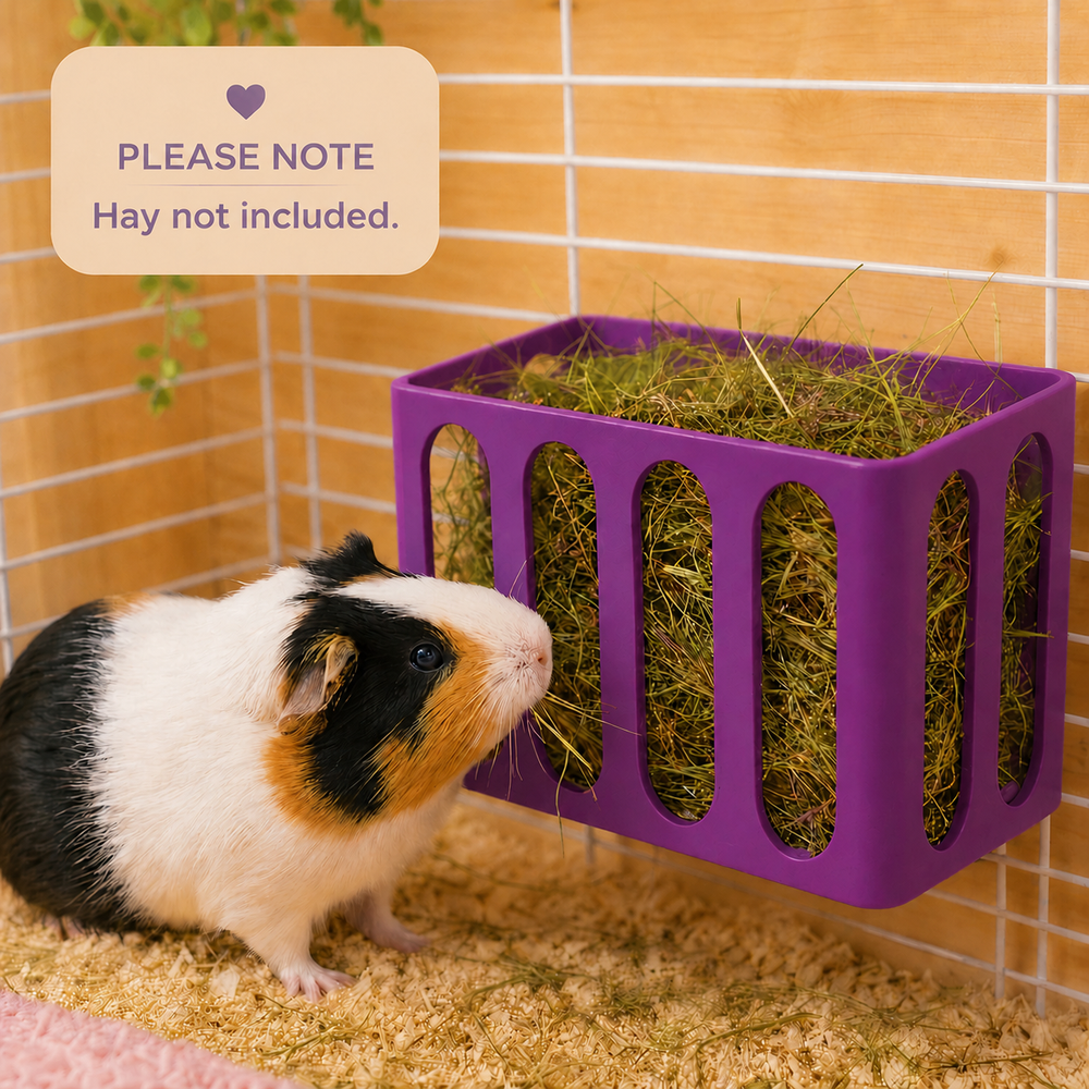 Electric Purple guinea pig and rabbit hay rack, cage and wall mounted, 3D printed in Britain