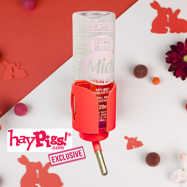 Guinea Pig & Rabbit Water Bottle Holder - Red